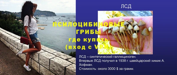 PSILOCYBIN Арсеньев