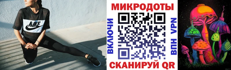 Псилоцибиновые грибы прущие грибы  Тетюши 